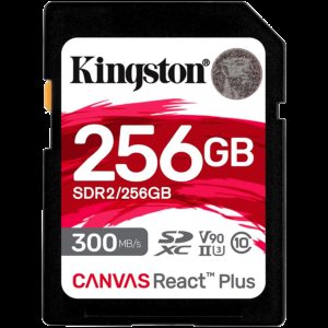 KINGSTON SDR2/256GB