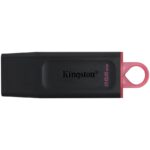 KINGSTON DTX/256GB