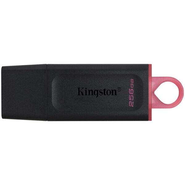 KINGSTON DTX/256GB KINGSTON DTX/256GB