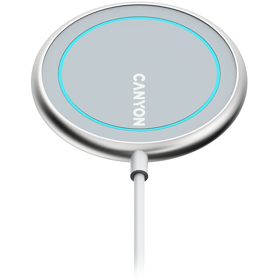 CANYON CNS-WCS100