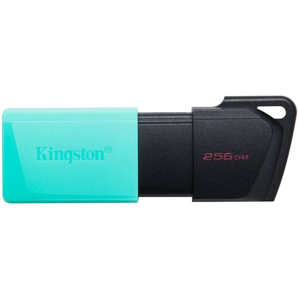 KINGSTON DTXM/256GB KINGSTON DTXM/256GB