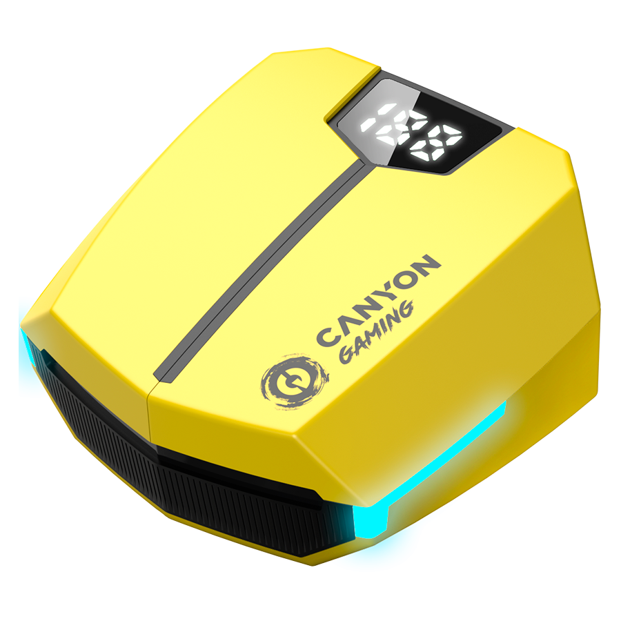 CANYON CND-GTWS2Y