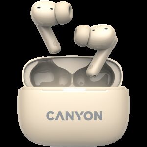 CANYON CNS-TWS10BG