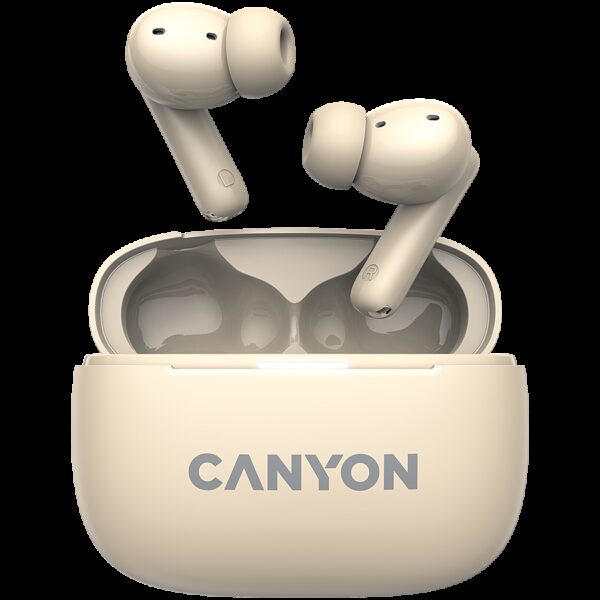 CANYON CNS-TWS10BG CANYON CNS-TWS10BG