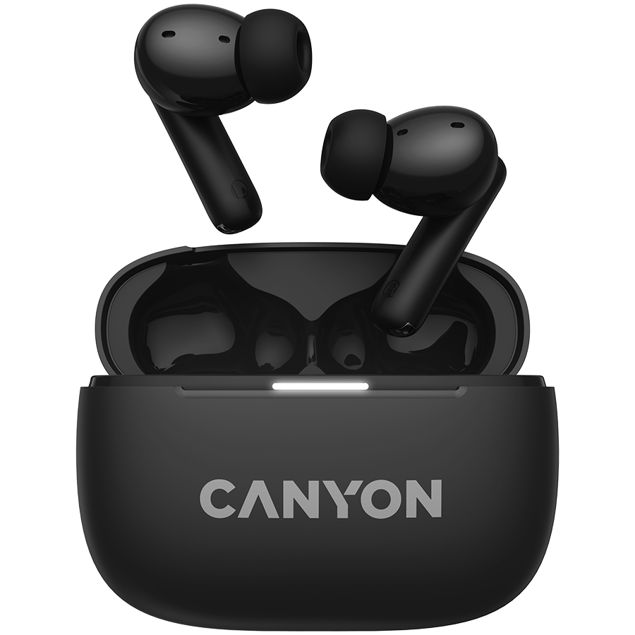 CANYON CNS-TWS10B