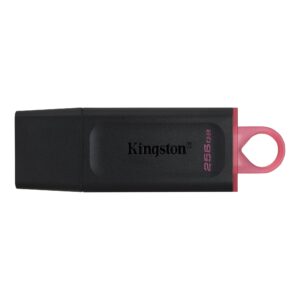 Kingston FD 256GB USB3.2 DTXDataTraveler Exodia - Slika 1