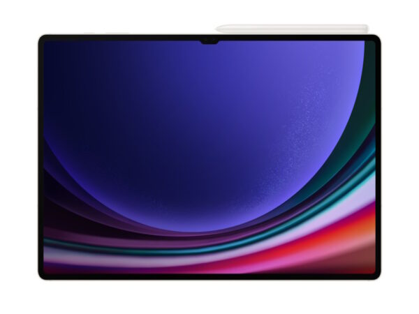 SAM TAB S9 U 12/256