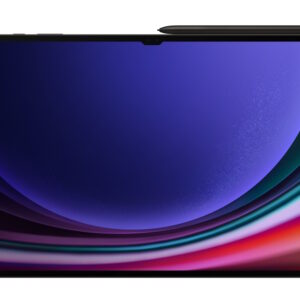 SAM TAB S9 U 12/256, X916-LTE12/256 GB, LTE Gray - Slika 1