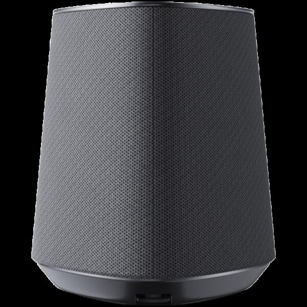 LOEWE 60604D10 LOEWE 60604D10