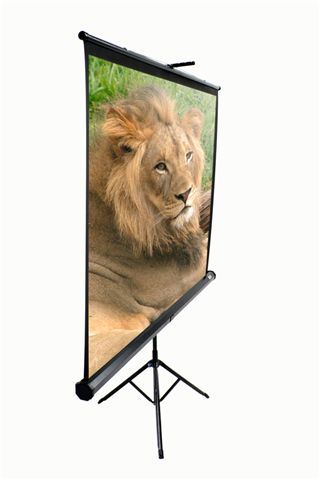 EliteScreens projekcijsko platno sa stalkom 178x178cm