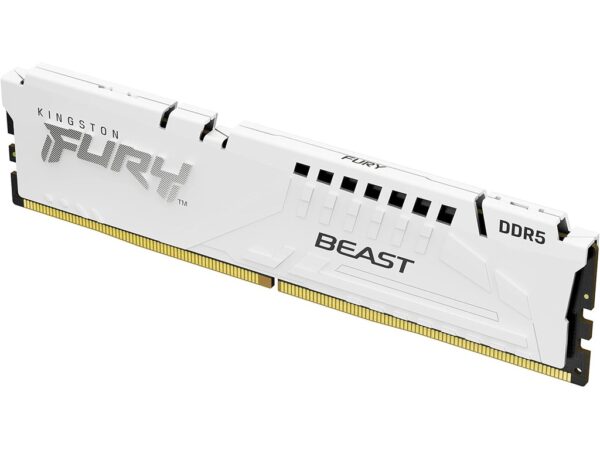 Kingston 16GB 5200MHz DDR5 W.White
