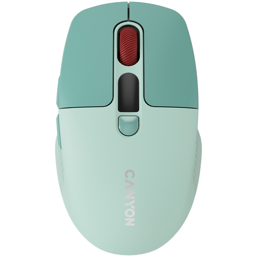 CANYON CNS-CMSW26GR