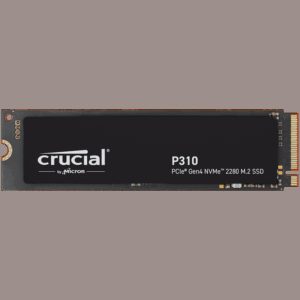 CRUCIAL CT1000P310SSD8