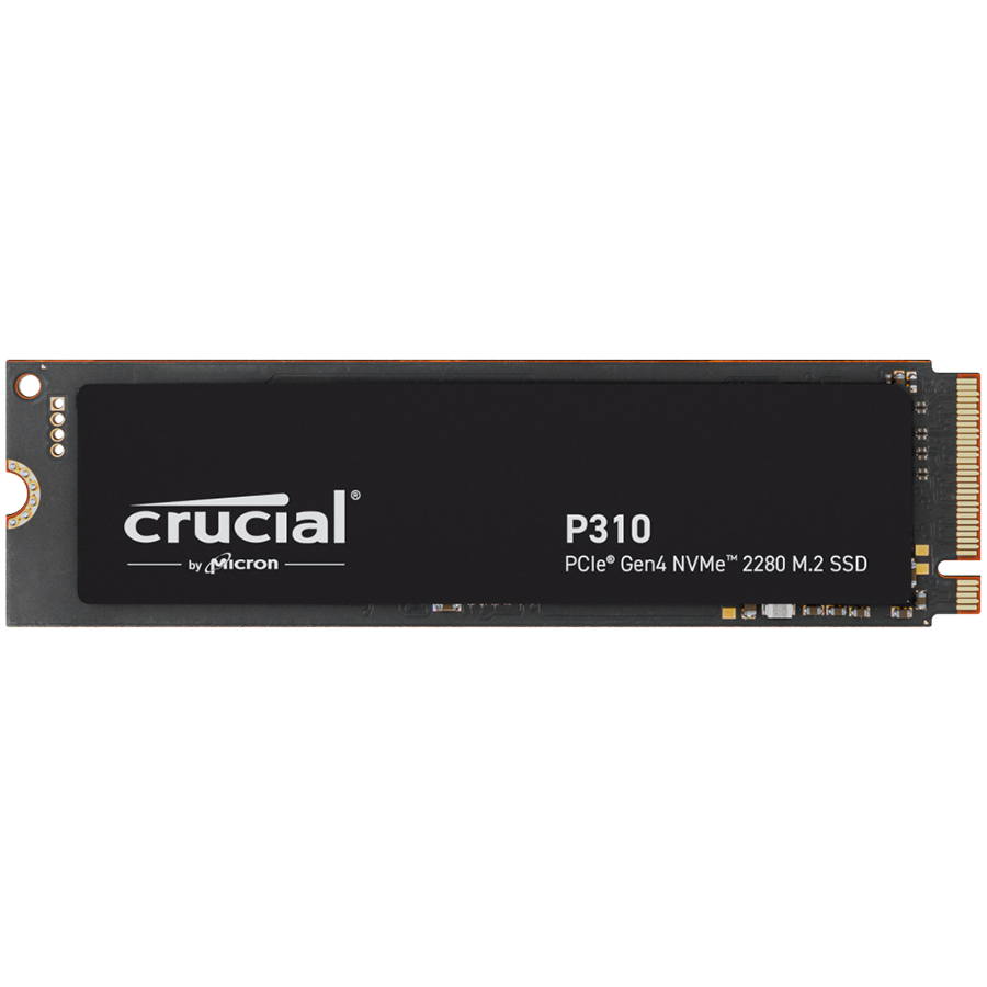 CRUCIAL CT1000P310SSD8