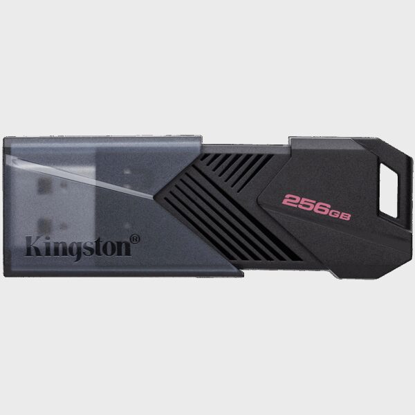 KINGSTON DTXON/256GB KINGSTON DTXON/256GB