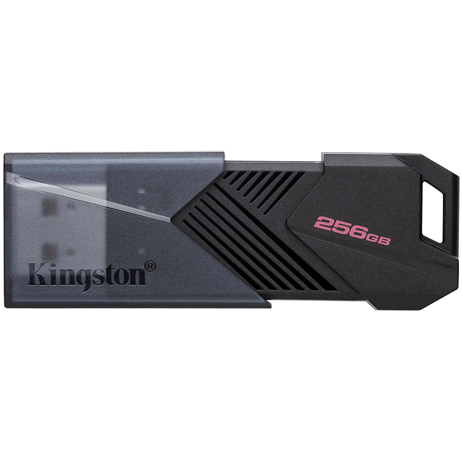 KINGSTON DTXON/256GB