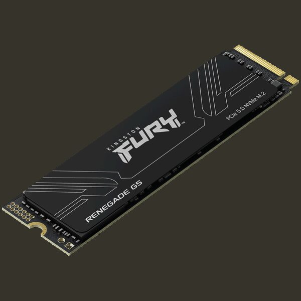 KINGSTON SFYR2S/2T0 KINGSTON SFYR2S/2T0