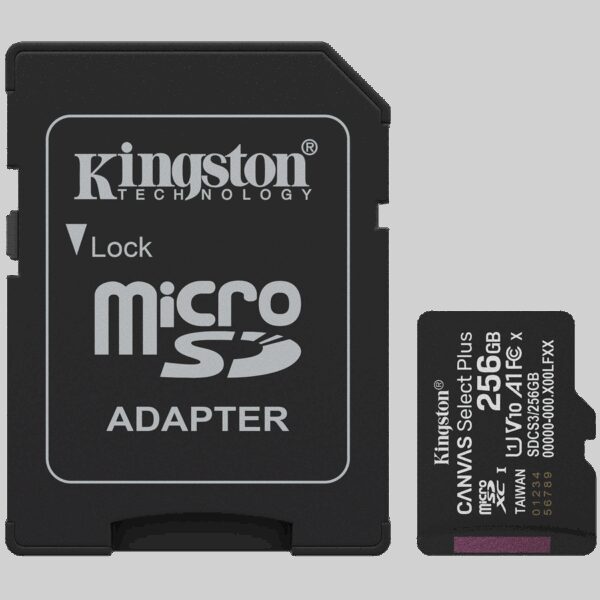 KINGSTON SDCS3/256GB