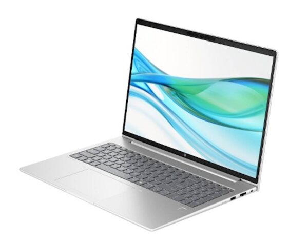 Laptop HP ProBook 465 G11 R5/16G/512G/FreeDOS (B9ZL6ET) Laptop HP ProBook 465 G11 R5/16G/512G/FreeDOS (B9ZL6ET)