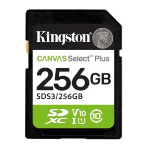 Kingston SDHC 256GB Class 10Canvas Select Plus150 MBs,Class 10 UHS-I - Slika 1