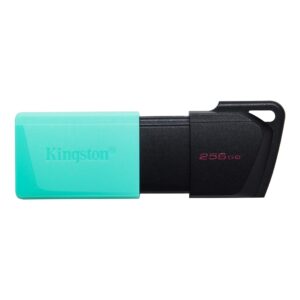 Kingston FD 256GBUSB3.2 DataTraveler Exodia M - Slika 1